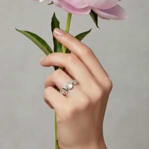 Anillo de fases lunares